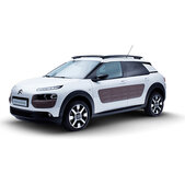 C4 Cactus C4 Cactus